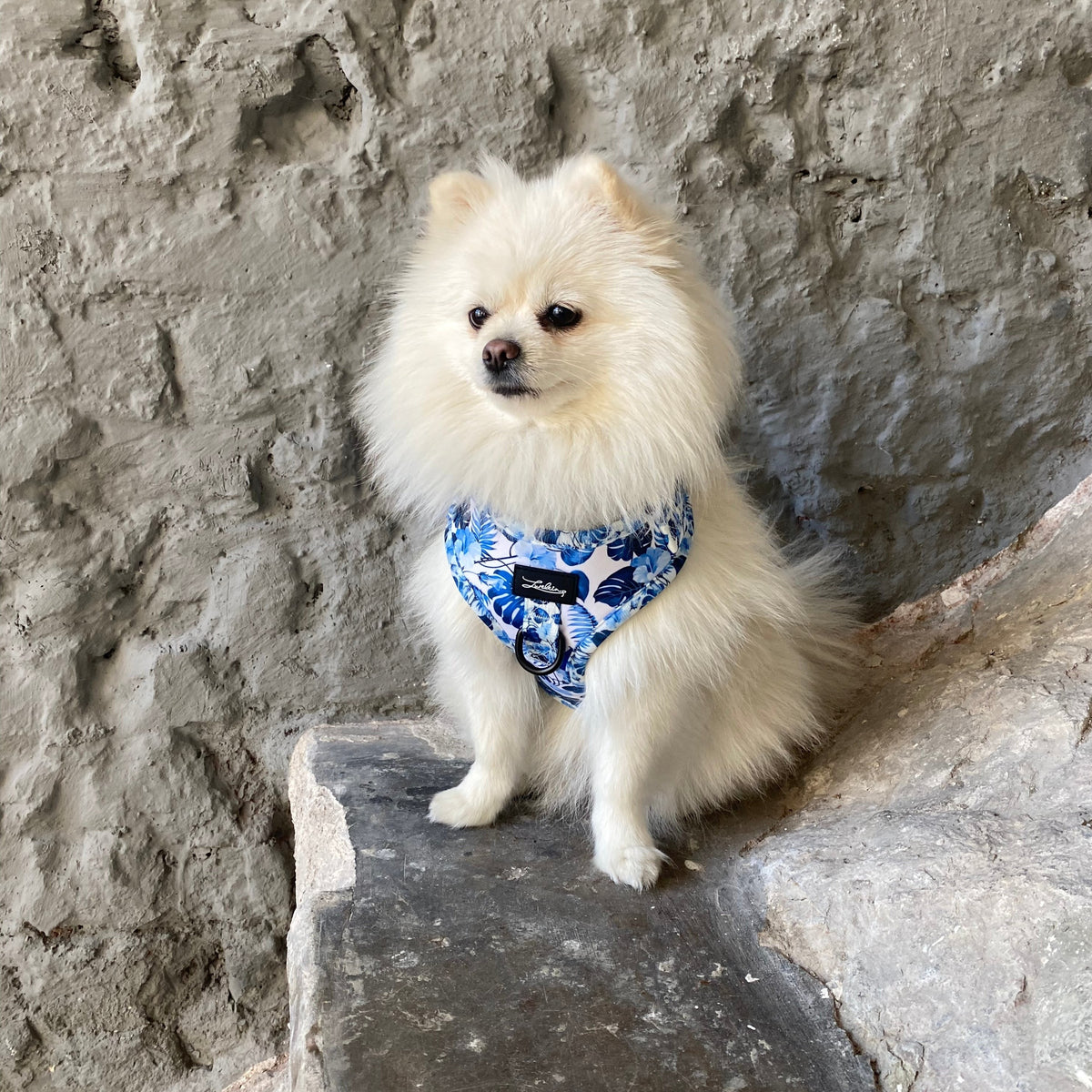 Hunde Geschirr "Blue Jungle" - Lurelein