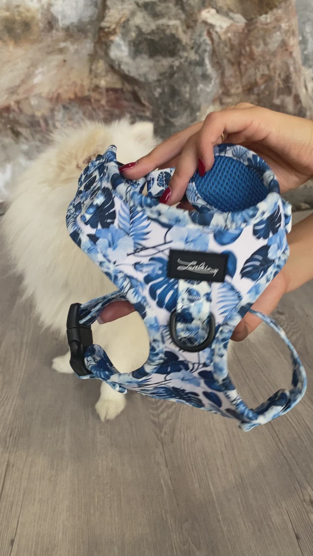 Hundegeschirr "Blue Jungle"